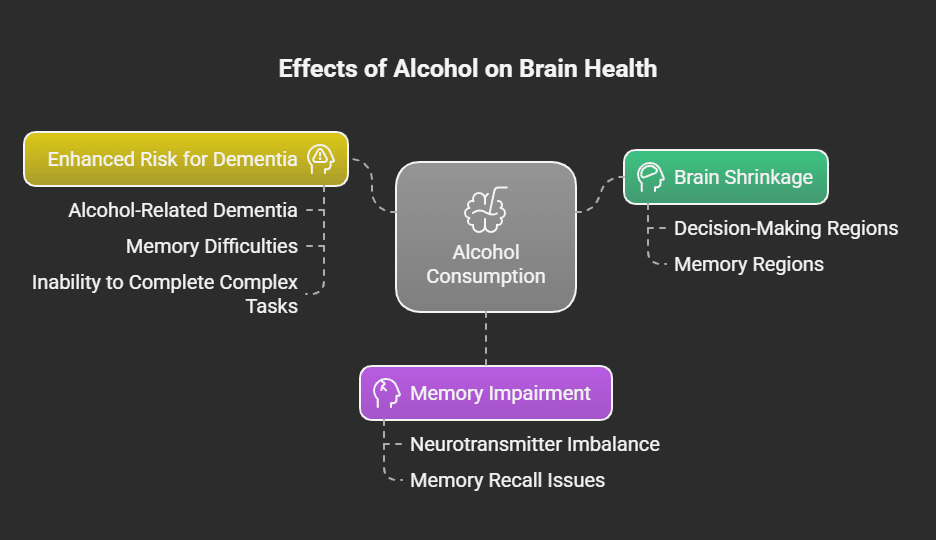 How Alcohol Harms the Brain